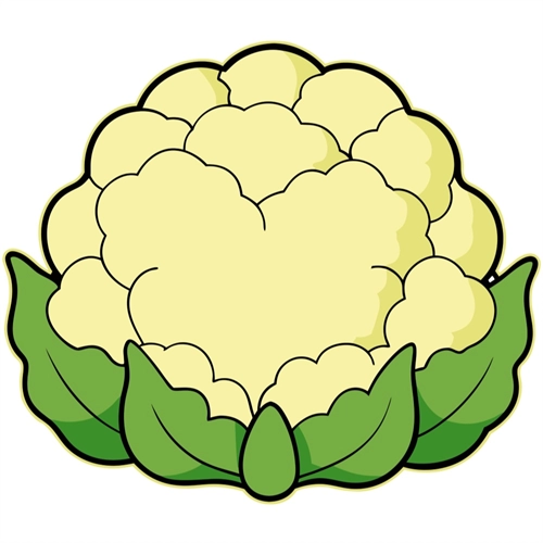 Cauliflower Classroom Vegetable Transparent Sticker